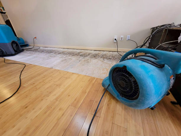 Professional Structural Drying technician working in Gladstone, NJ
